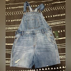 🌵 NWT Wild Fable denim overalls 🌵